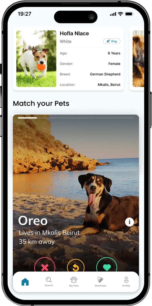 Pet matching screen showing compatible pet profiles based on user preferences.