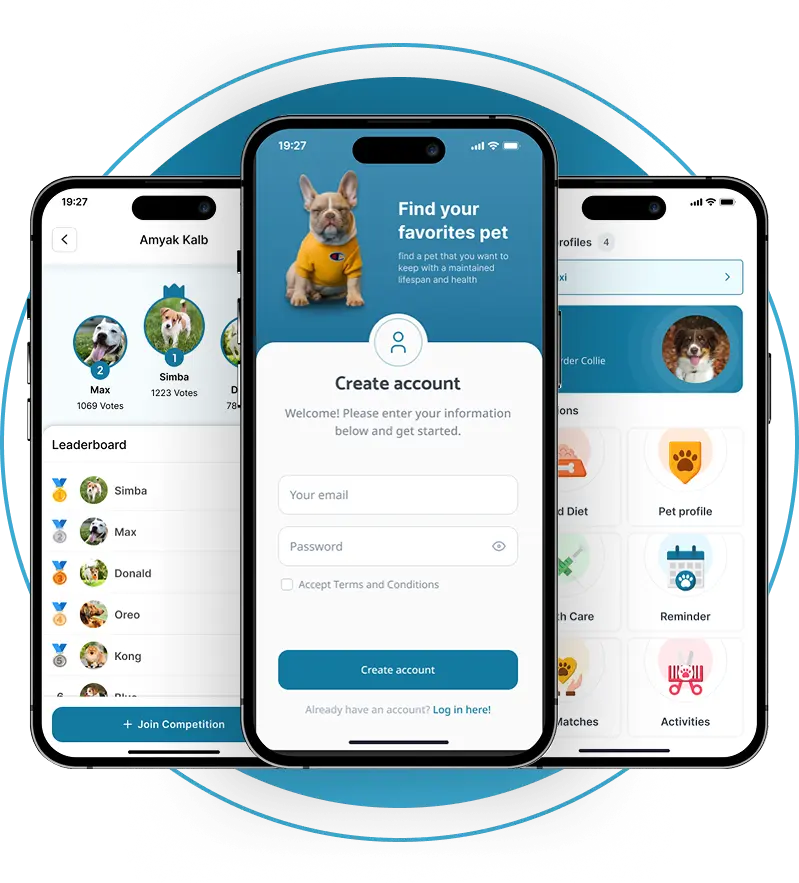 Woofli pet app for connecting pet owners with pet businesses